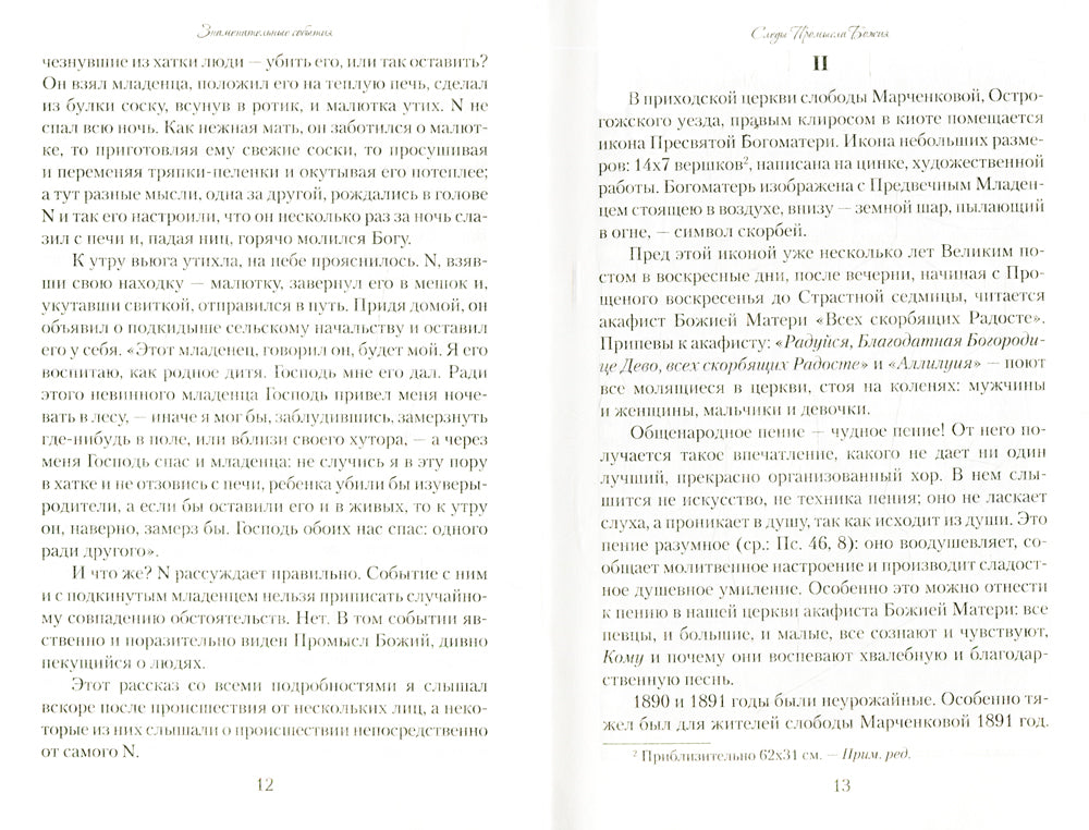 Знаменательные события. Из дневника сельского священника