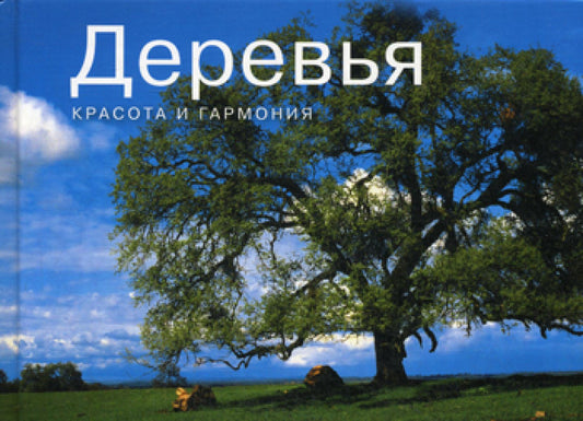 Деревья. Красота и гармония