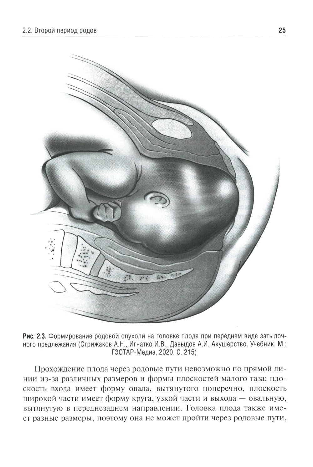 Клиническое течение родов: Учебное пособие