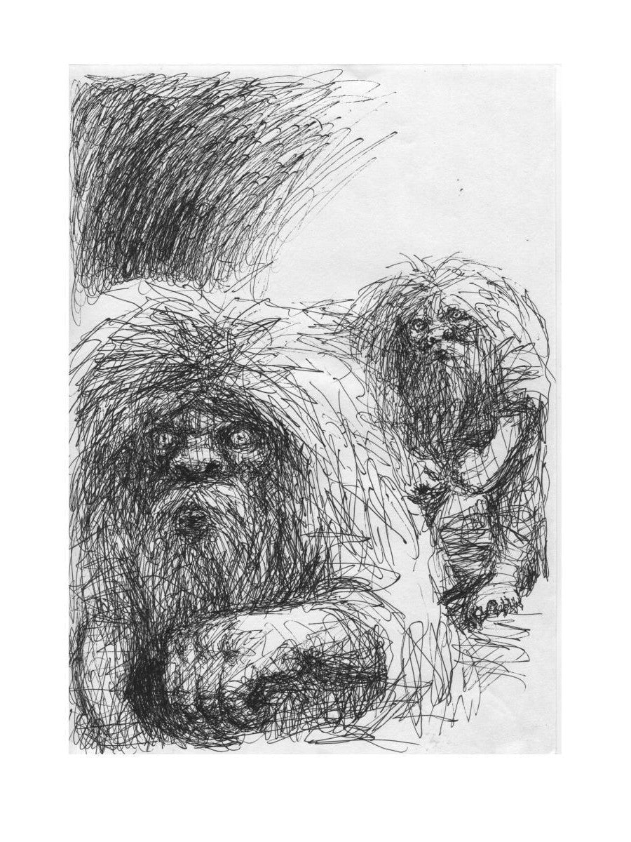 Вулкан Москва. Тайна московского метро