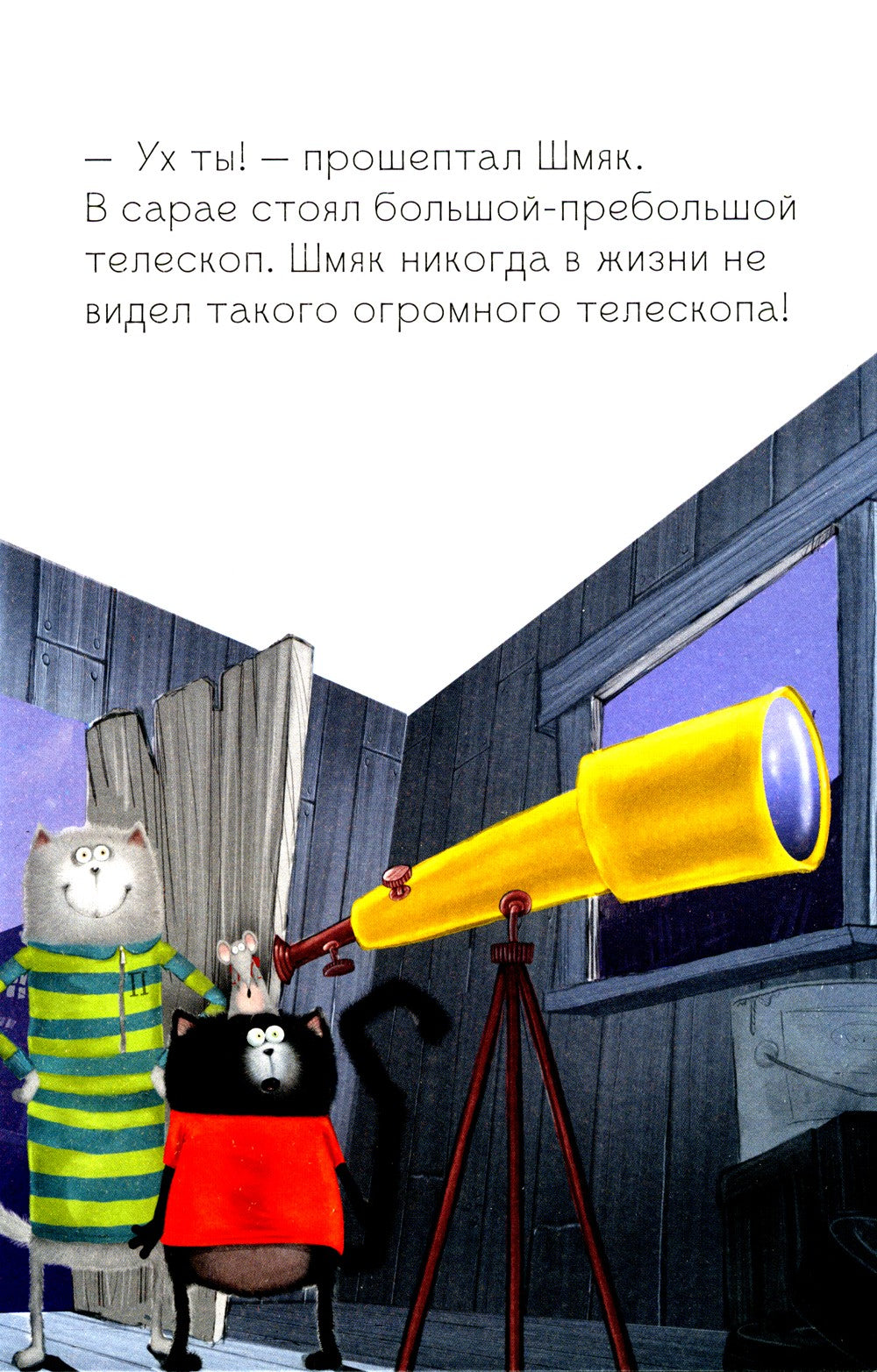 Котенок Шмяк и лунный кот