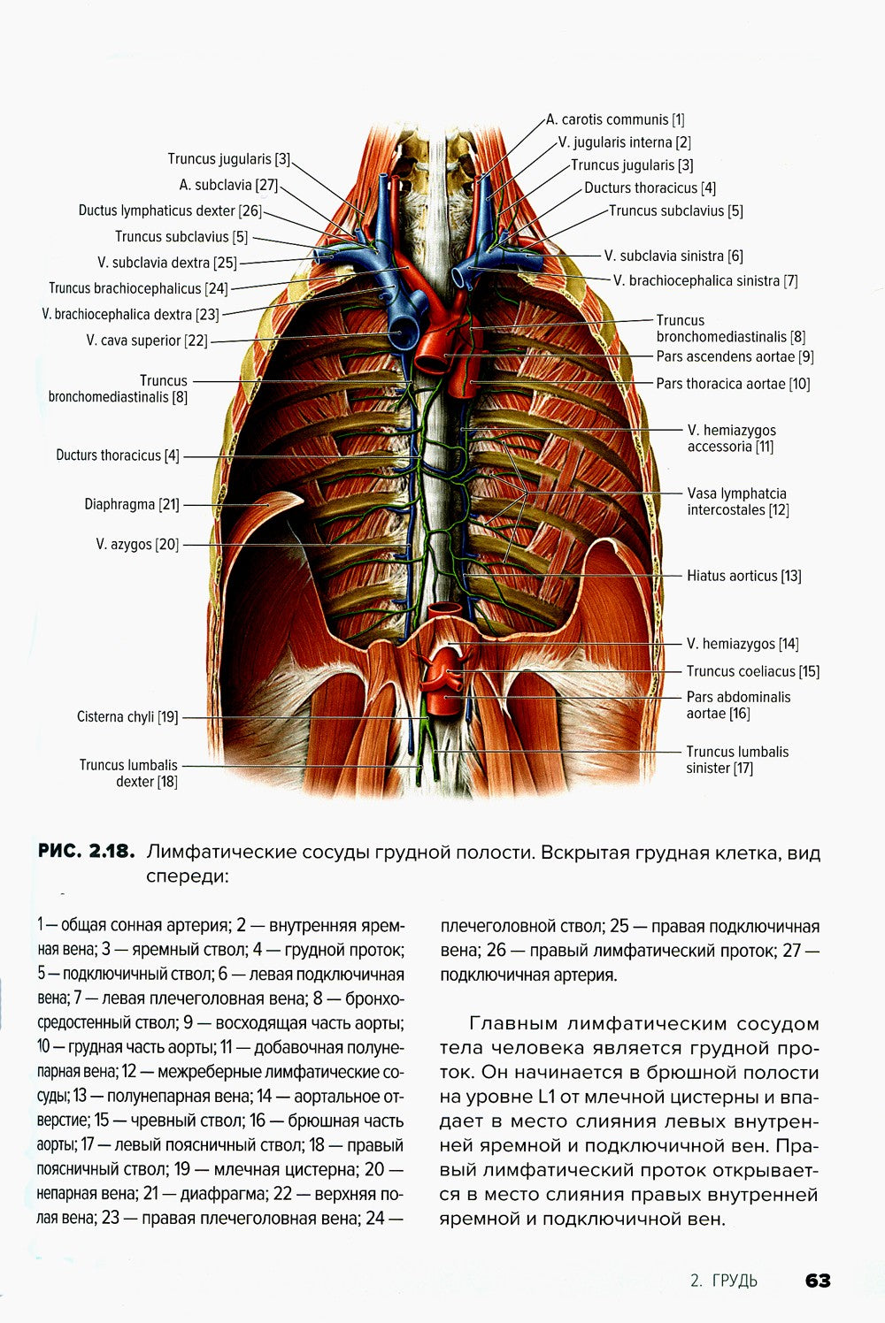 Атлас анатомии для стоматологов. В 2 т.Т. 1: Общая анатомия. Голова