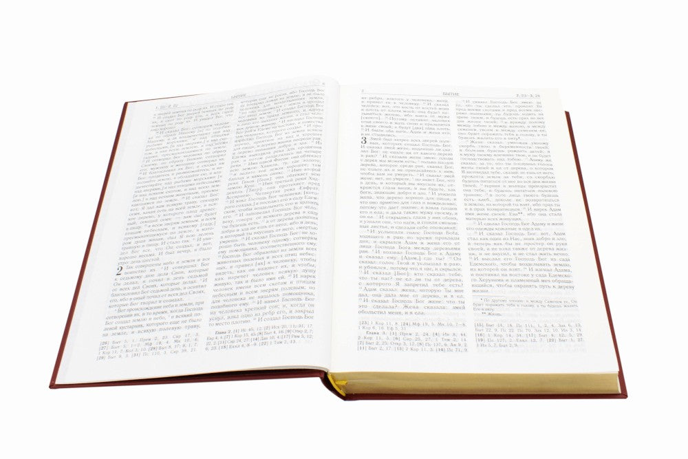 Библия. Книги Священного Писания Ветхого и Нового Завета (золотой обрез)
