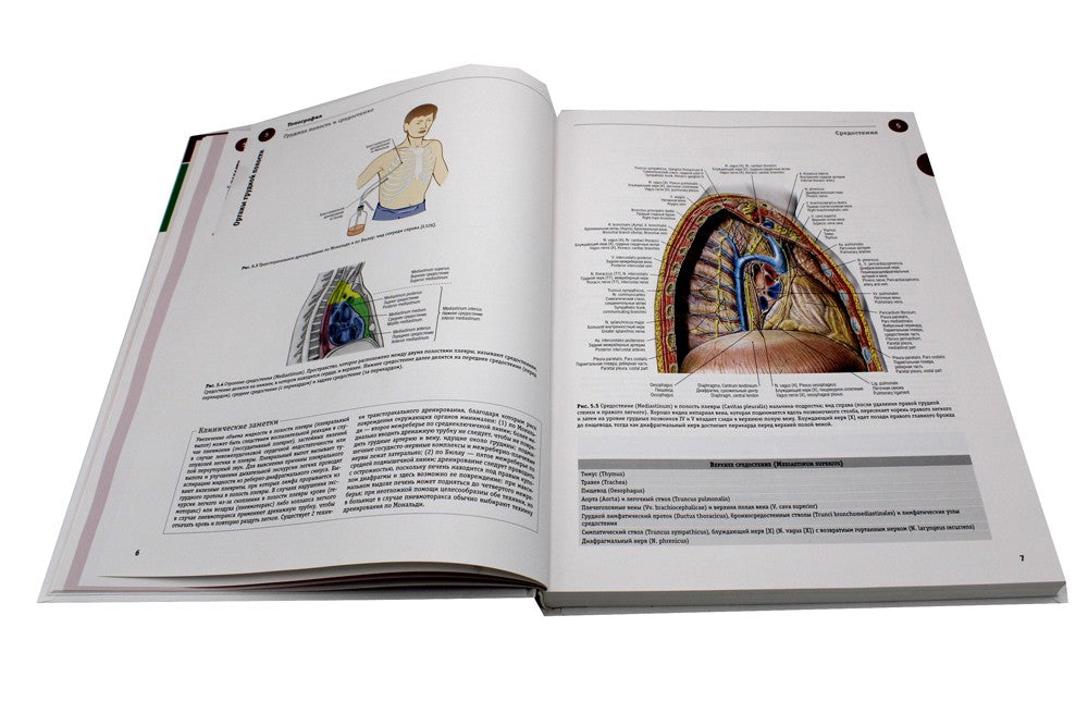 Sobotta. Атлас анатомии человека. В 3 т. Т. 2: Внутренние органы. 2-е изд