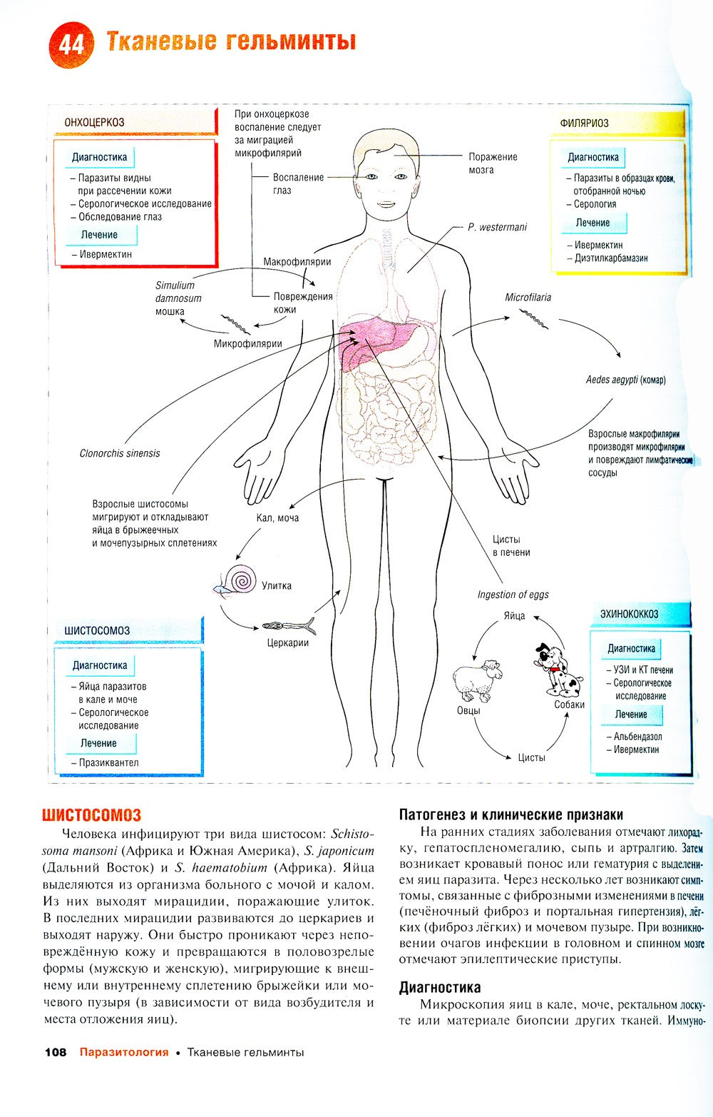 Наглядные инфекционные болезни и микробиология. 2-е изд., перераб.и доп