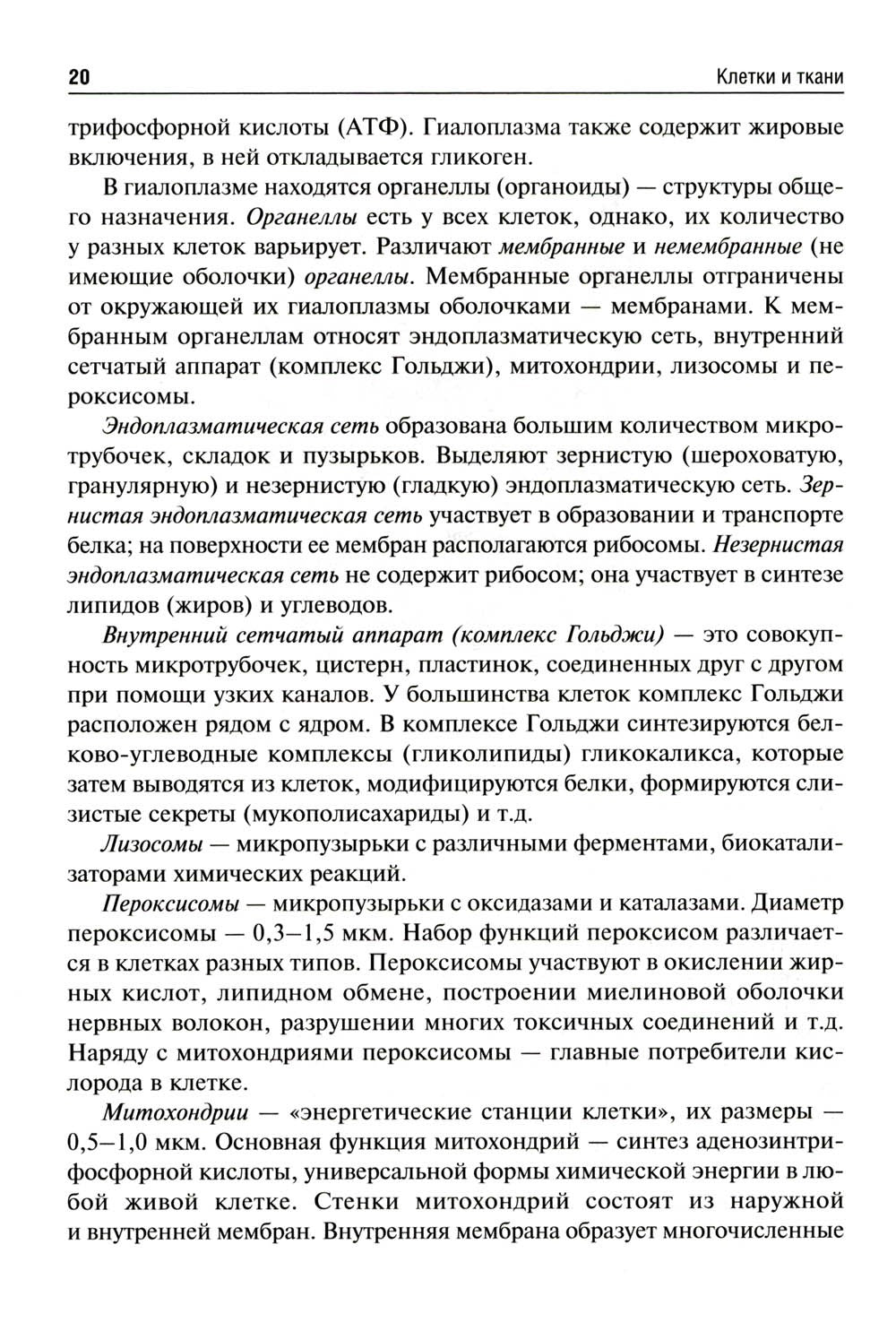 Анатомия человека: Учебник для фармацевтических факультетов
