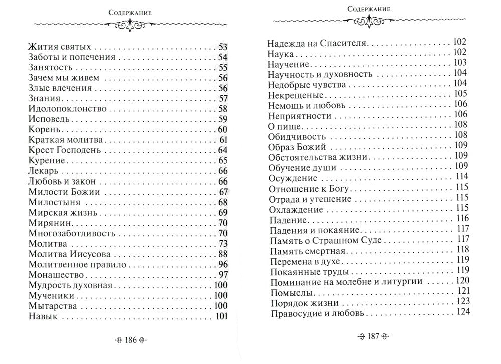 Зачем мы живем. По творениям святителя Феофана Затворника