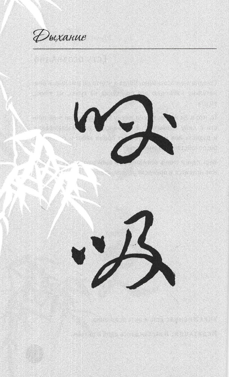 150 дней в настоящем. Медитации на каждый день