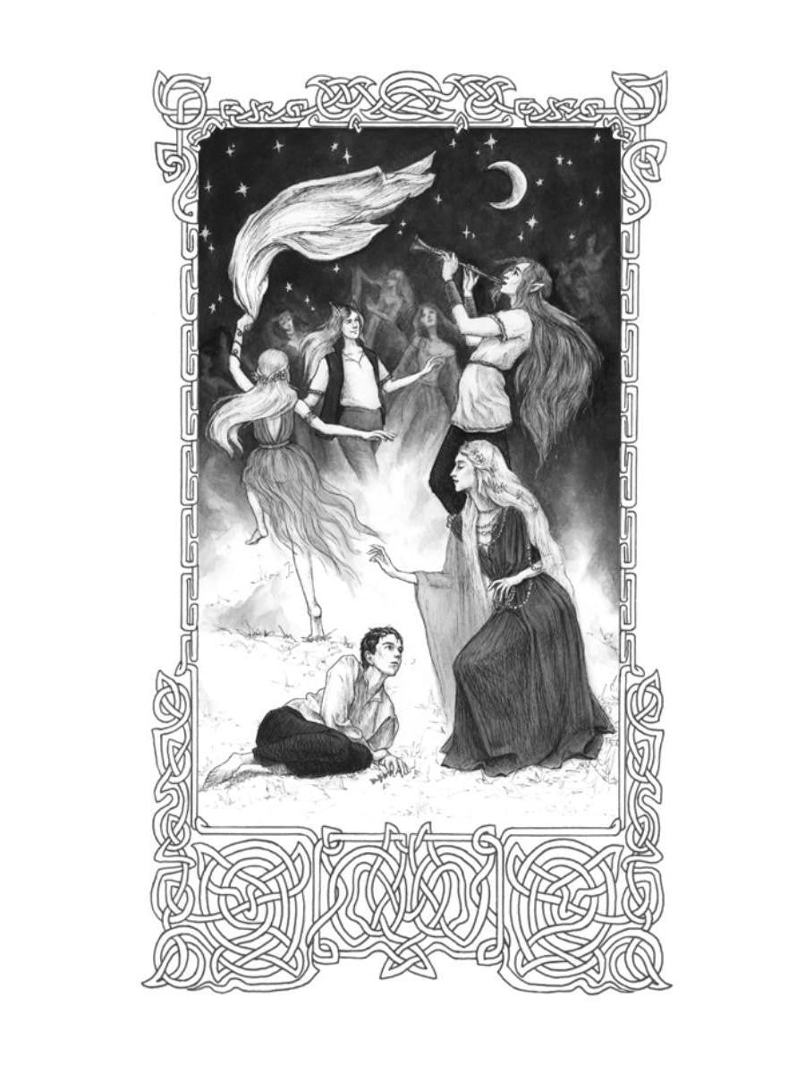 Лисы графства Рэндалл