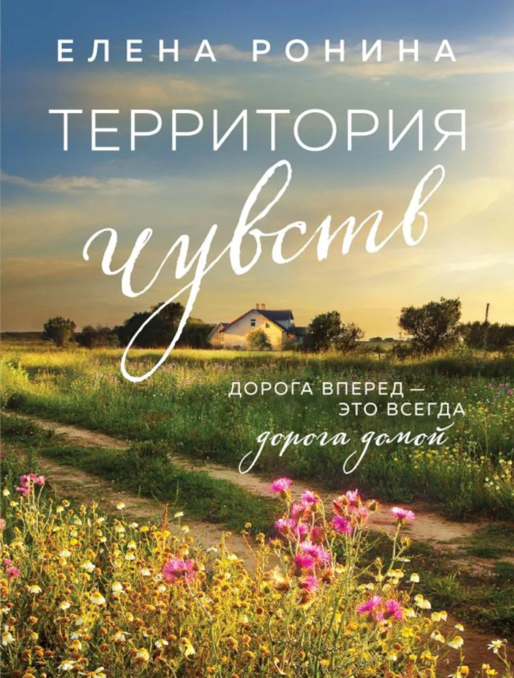 Территория чувств: роман