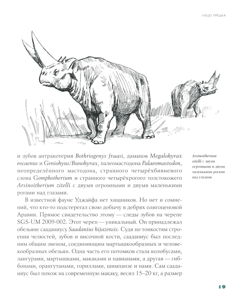 Борьба за обед: Еще 50 баек из грота