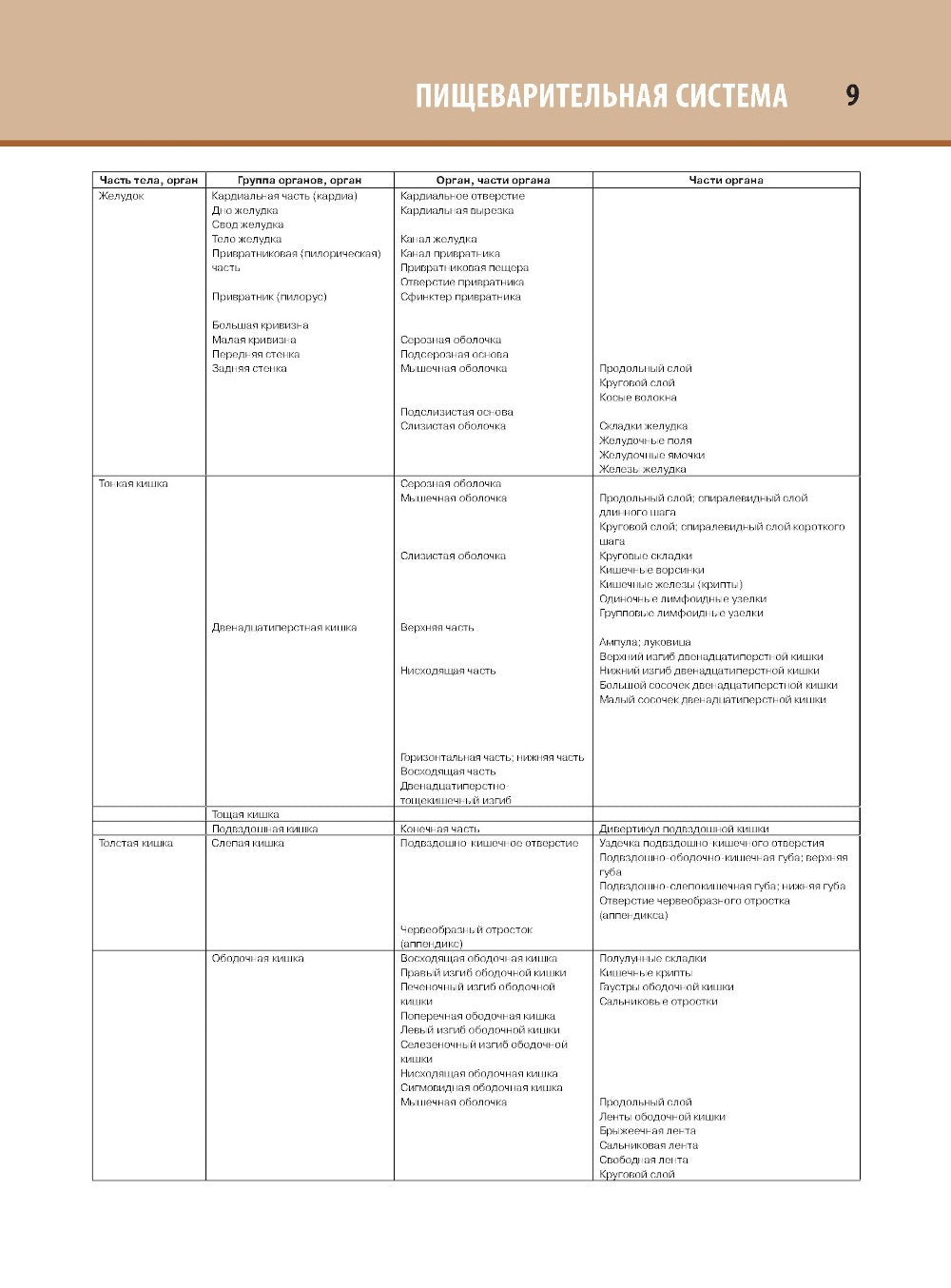 Анатомия человека: атлас: В 3 т. Т. 2. Спланхнология