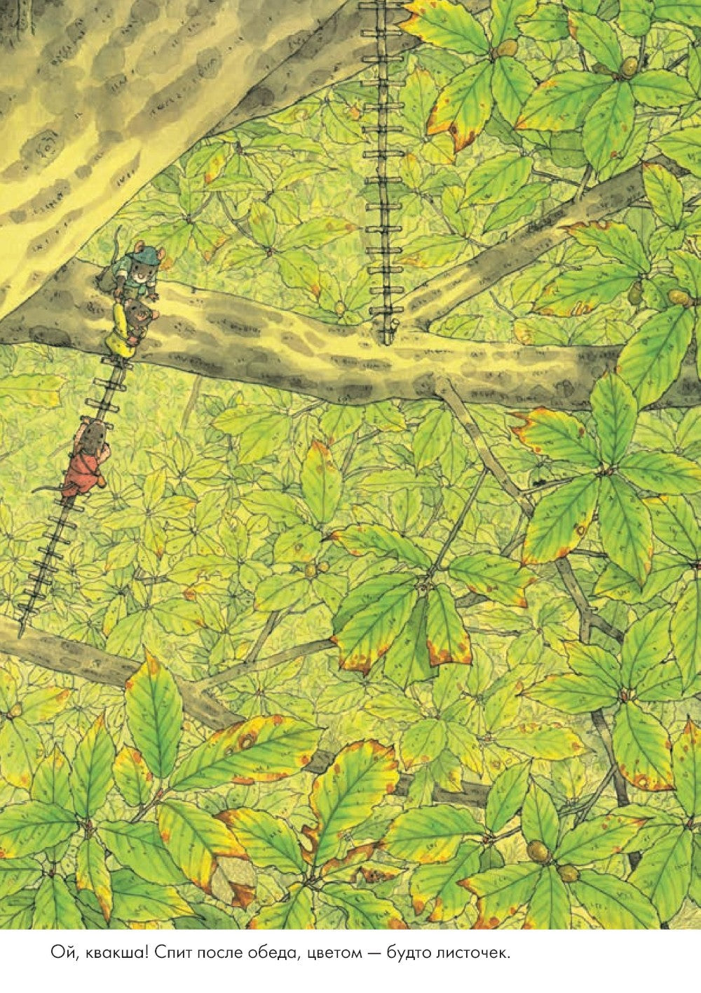 14 лесных мышей. Ужин с луной