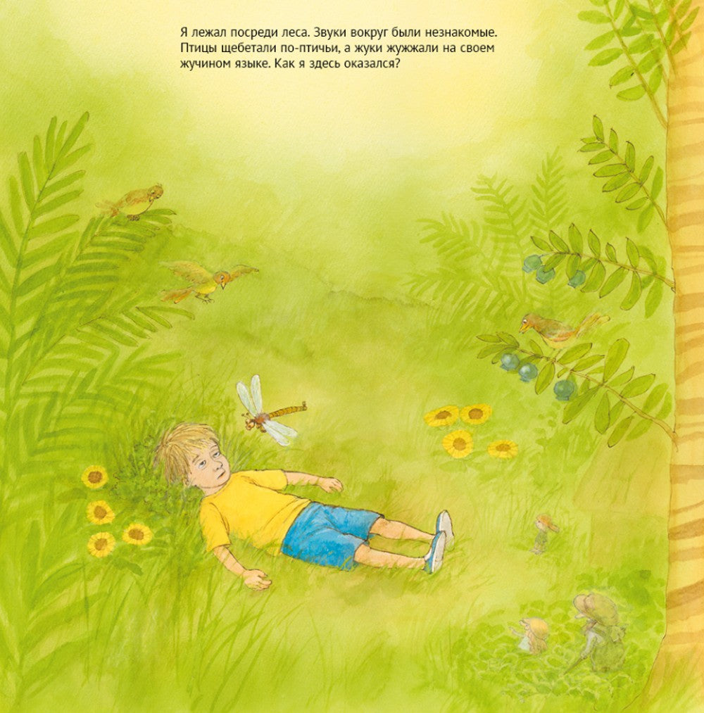 Дорога домой