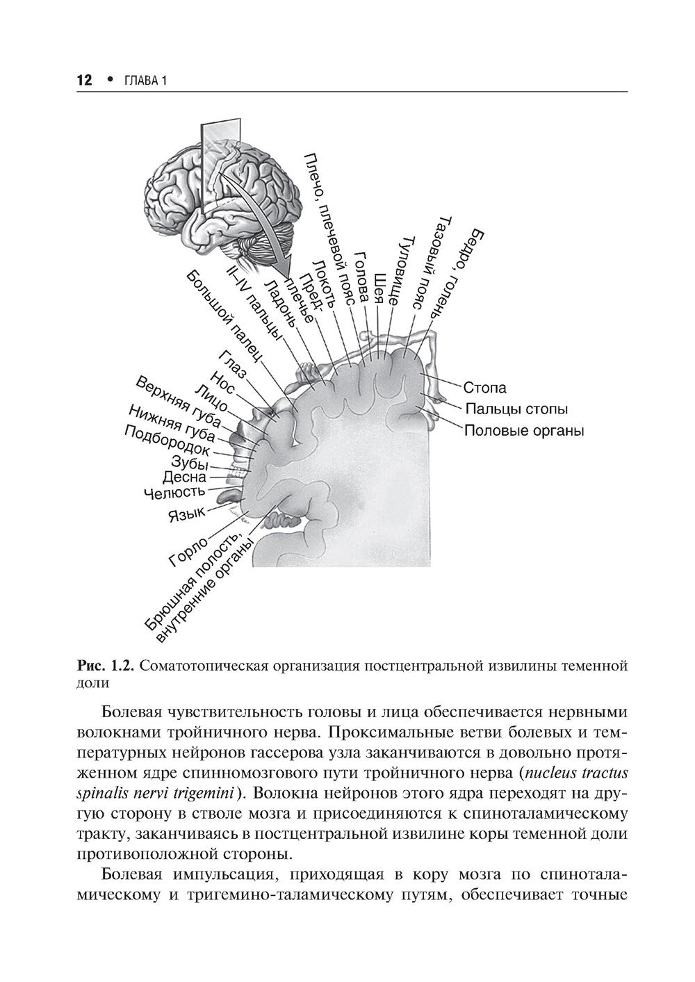 Хроническая боль и ее лечение в неврологии. 2-е изд., перераб. и доп