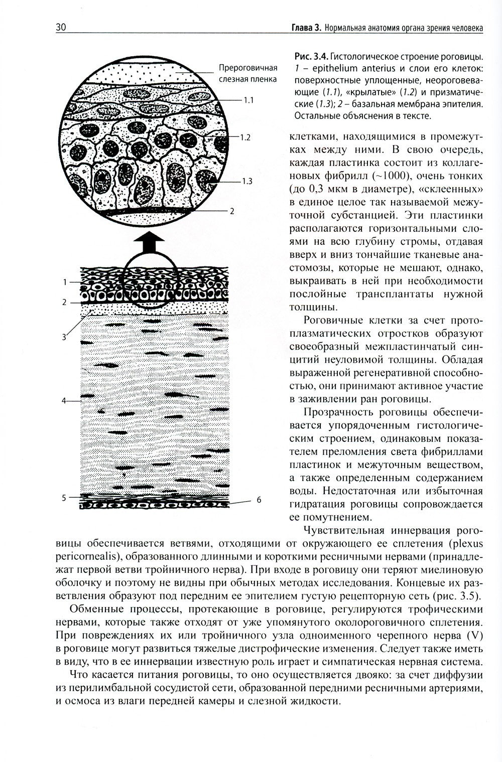 Клиническая офтальмология. 5-е изд., перераб. и доп. (пер.)