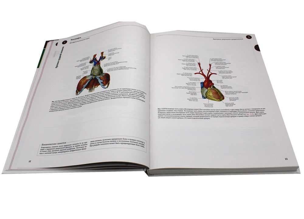 Sobotta. Атлас анатомии человека. В 3 т. Т. 2: Внутренние органы. 2-е изд