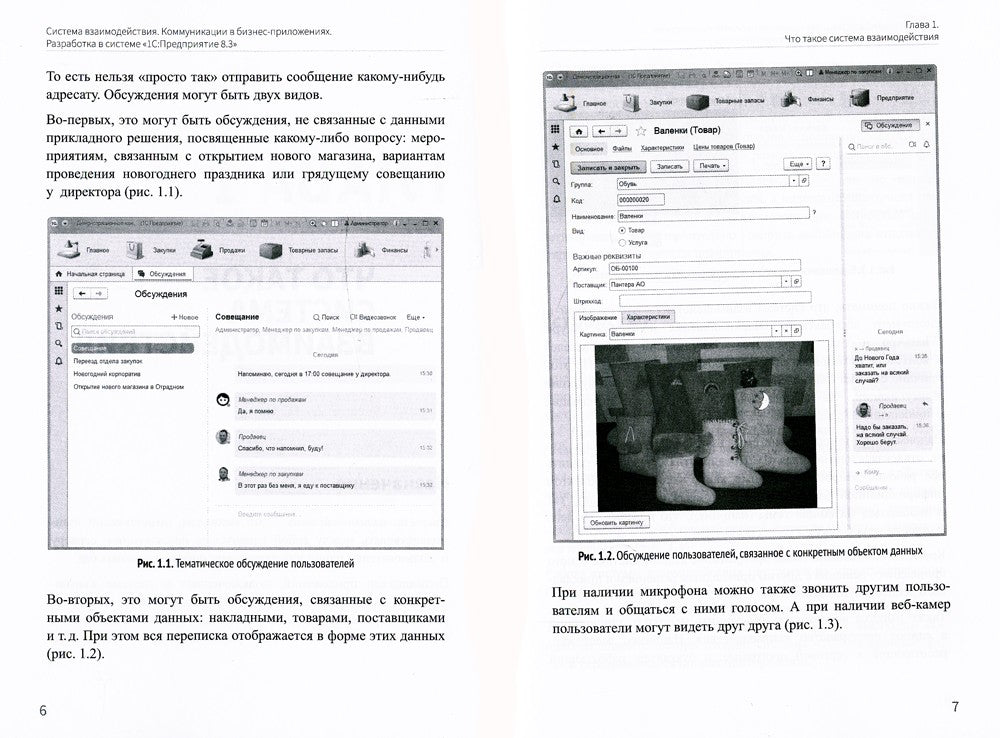 Система взаимодействия. Коммуникации в бизнес-приложениях. Разработка в систе...