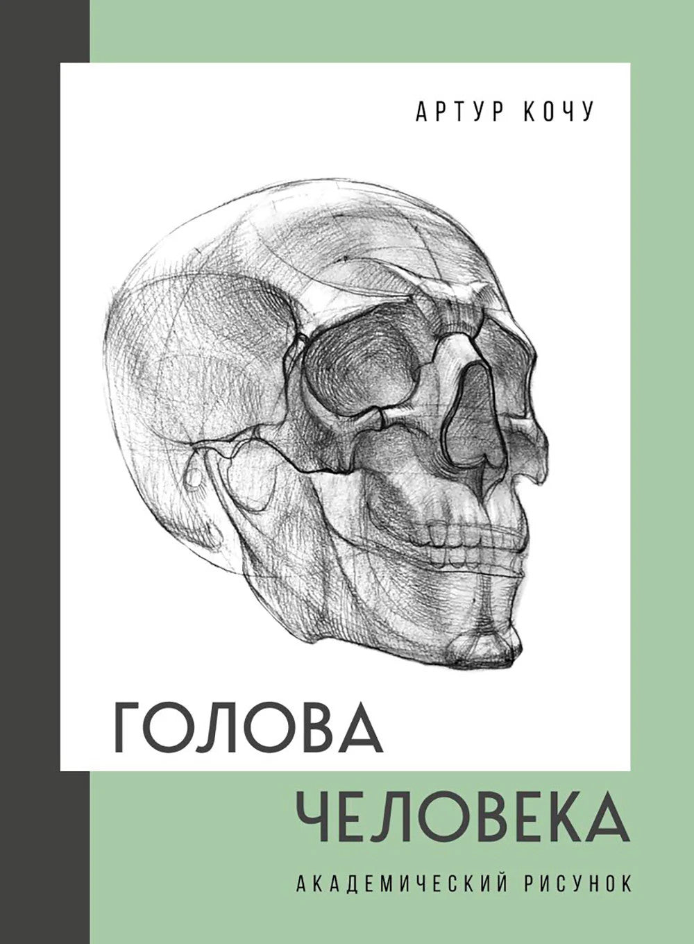 Голова человека. Академический рисунок