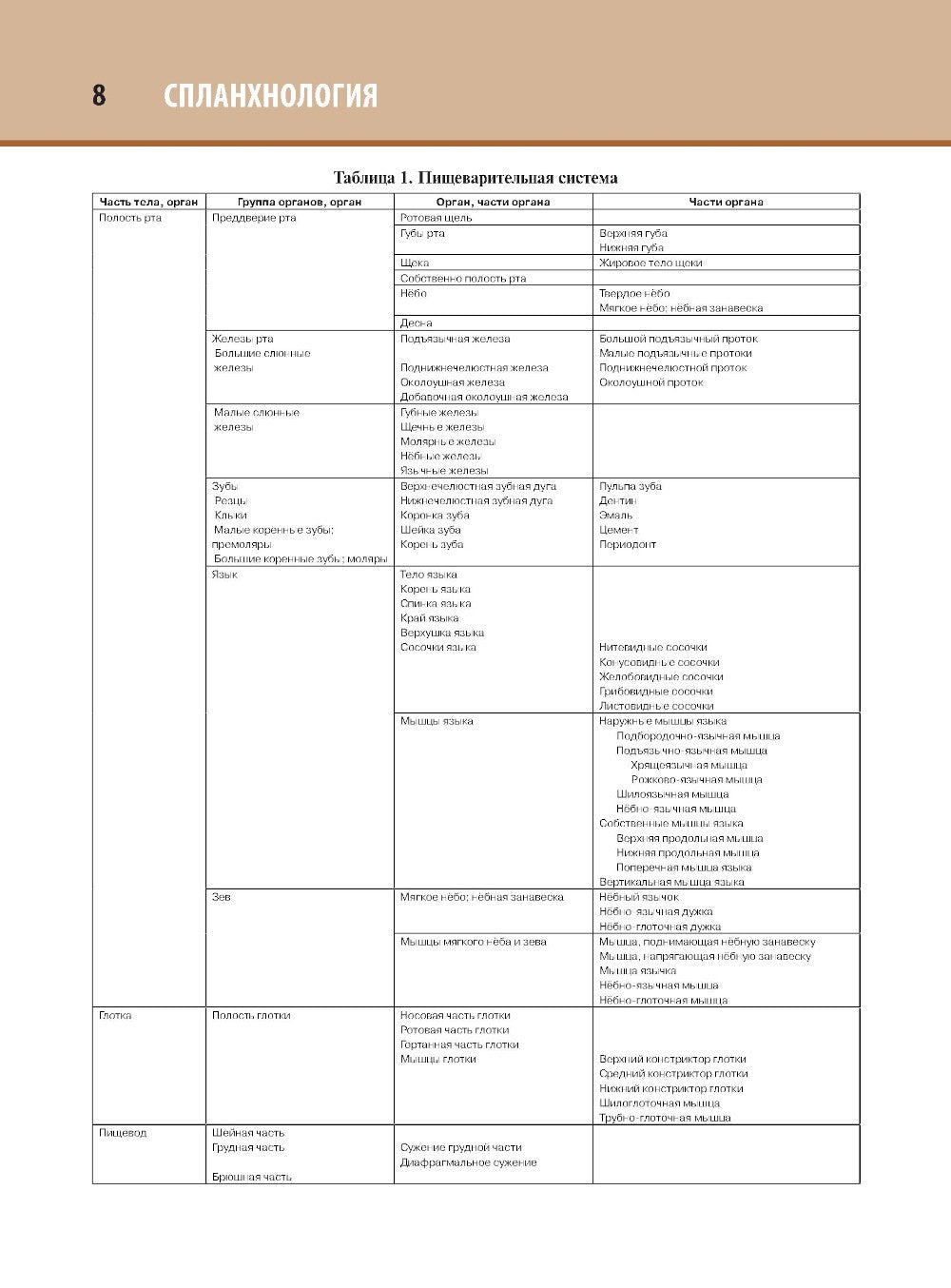 Анатомия человека: атлас: В 3 т. Т. 2. Спланхнология