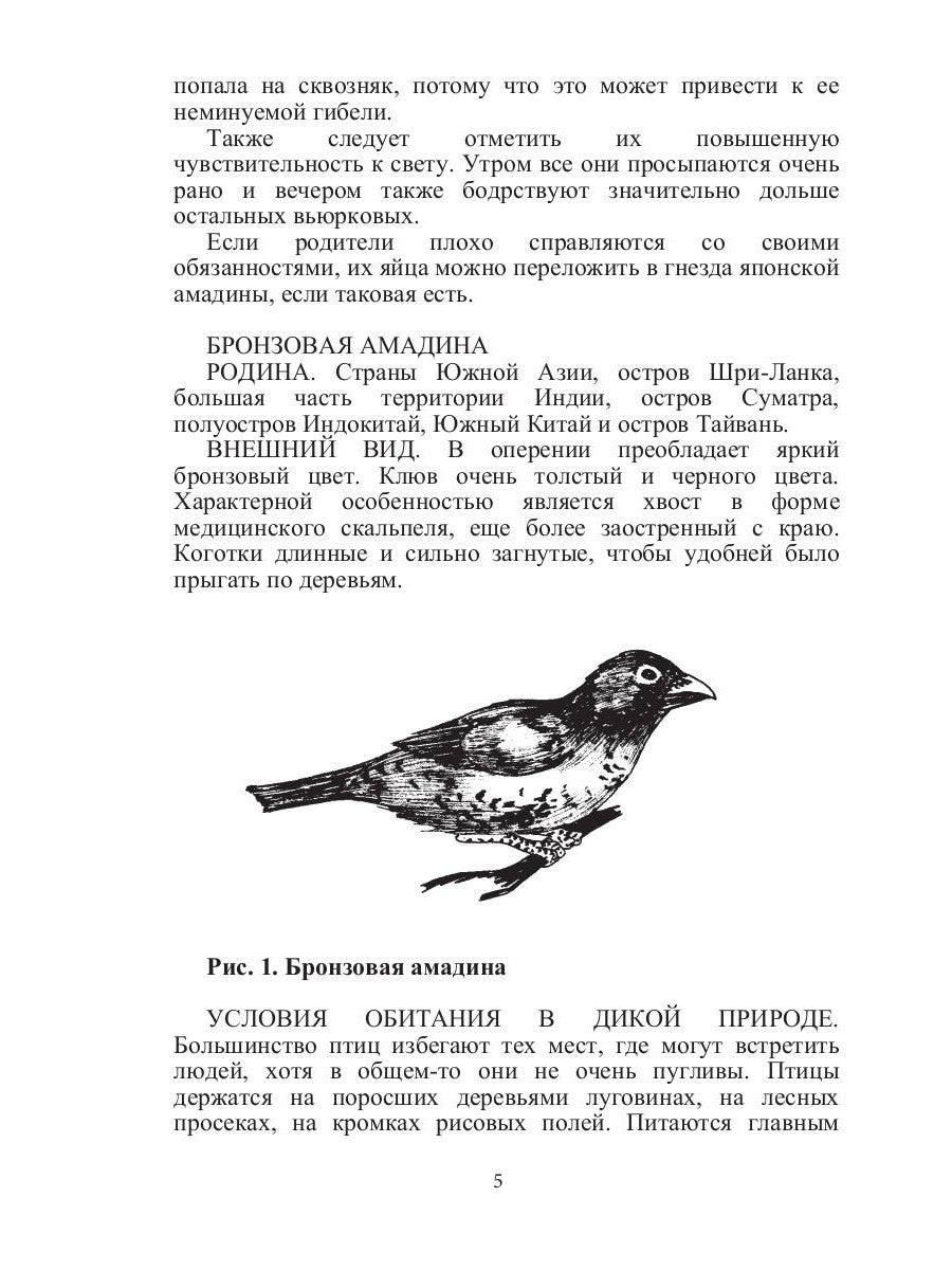 Певчие птицы