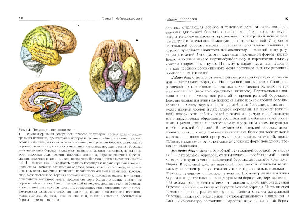 Детская неврология и нейрохирургия: Учебник. В 2 т. Т. 1