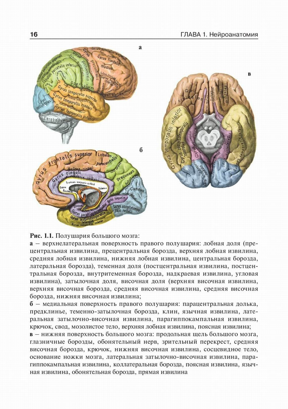 Детская неврология: Учебник. В 2 т. Т. 1