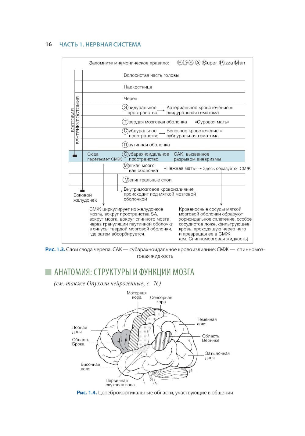 Краткий справочник по интенсивной терапии