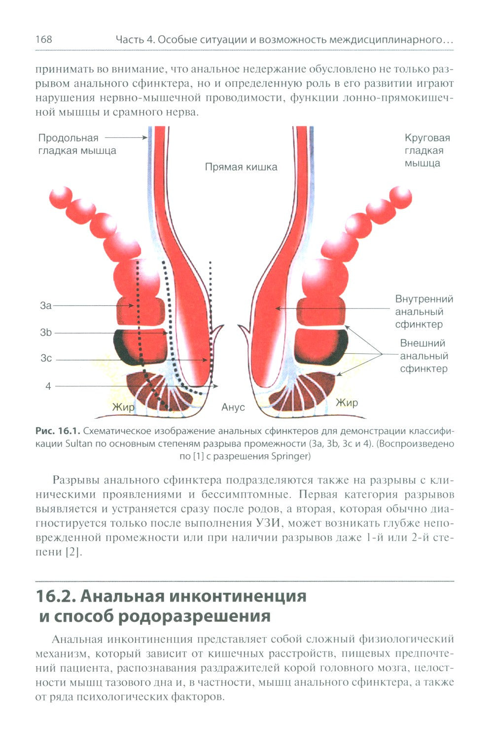 Анальная инконтиненция. Клиническое ведение и хирургическая тактика