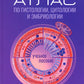 Атлас по гистологии, цитологии и эмбриологии : Учебное пособие