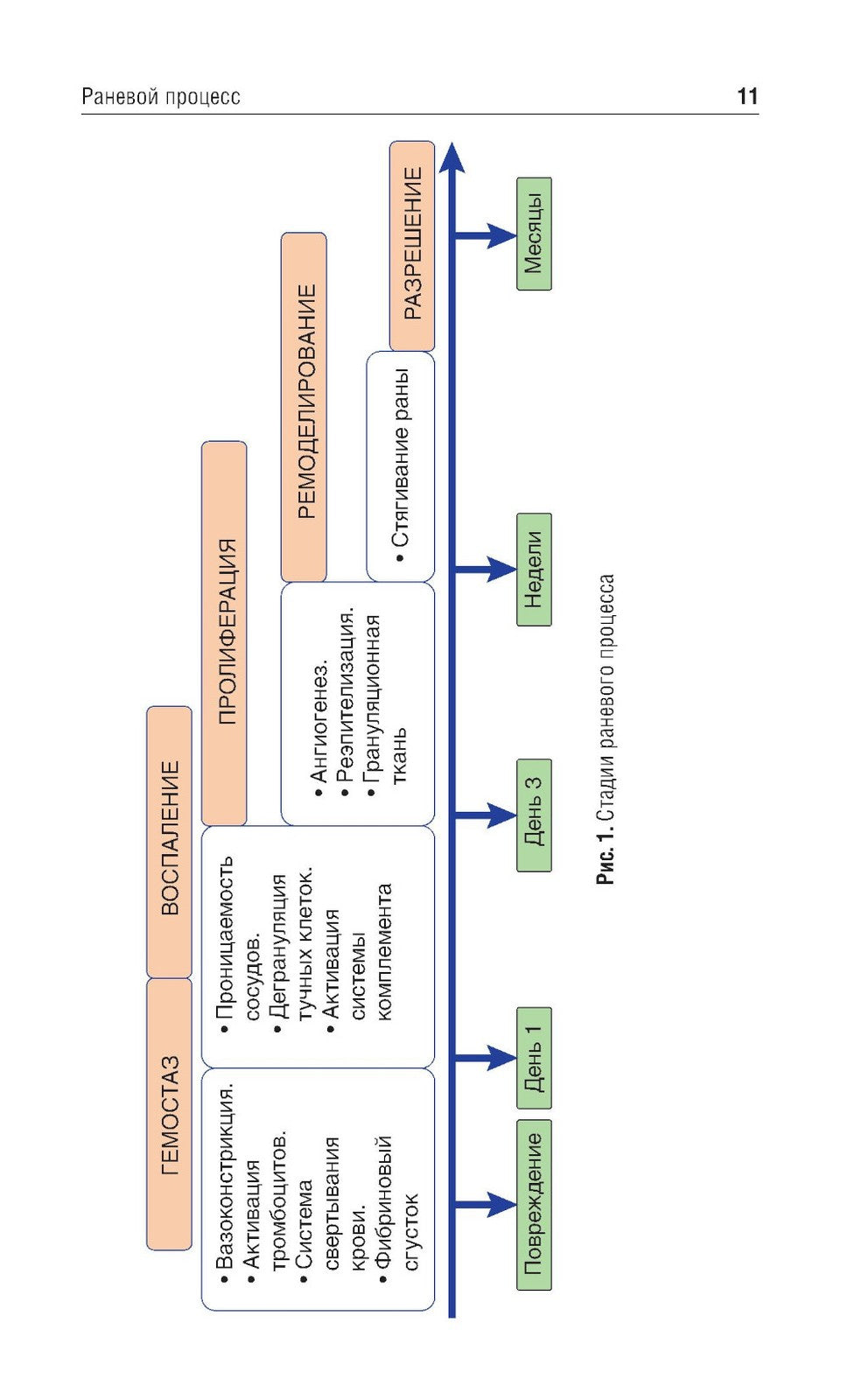 Швы в хирургической стоматологии: Учебное пособие