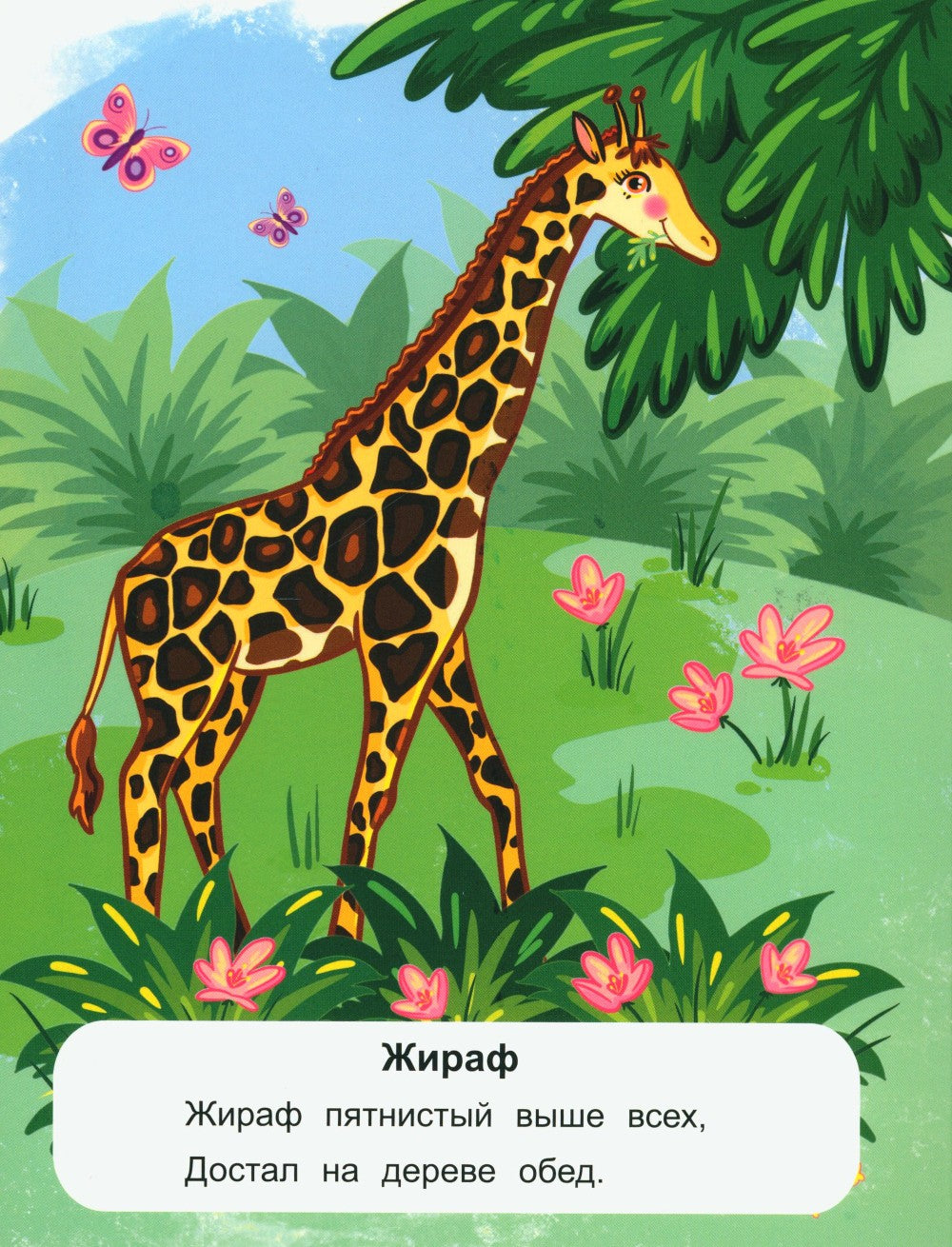 Животные жарких стран: стихи