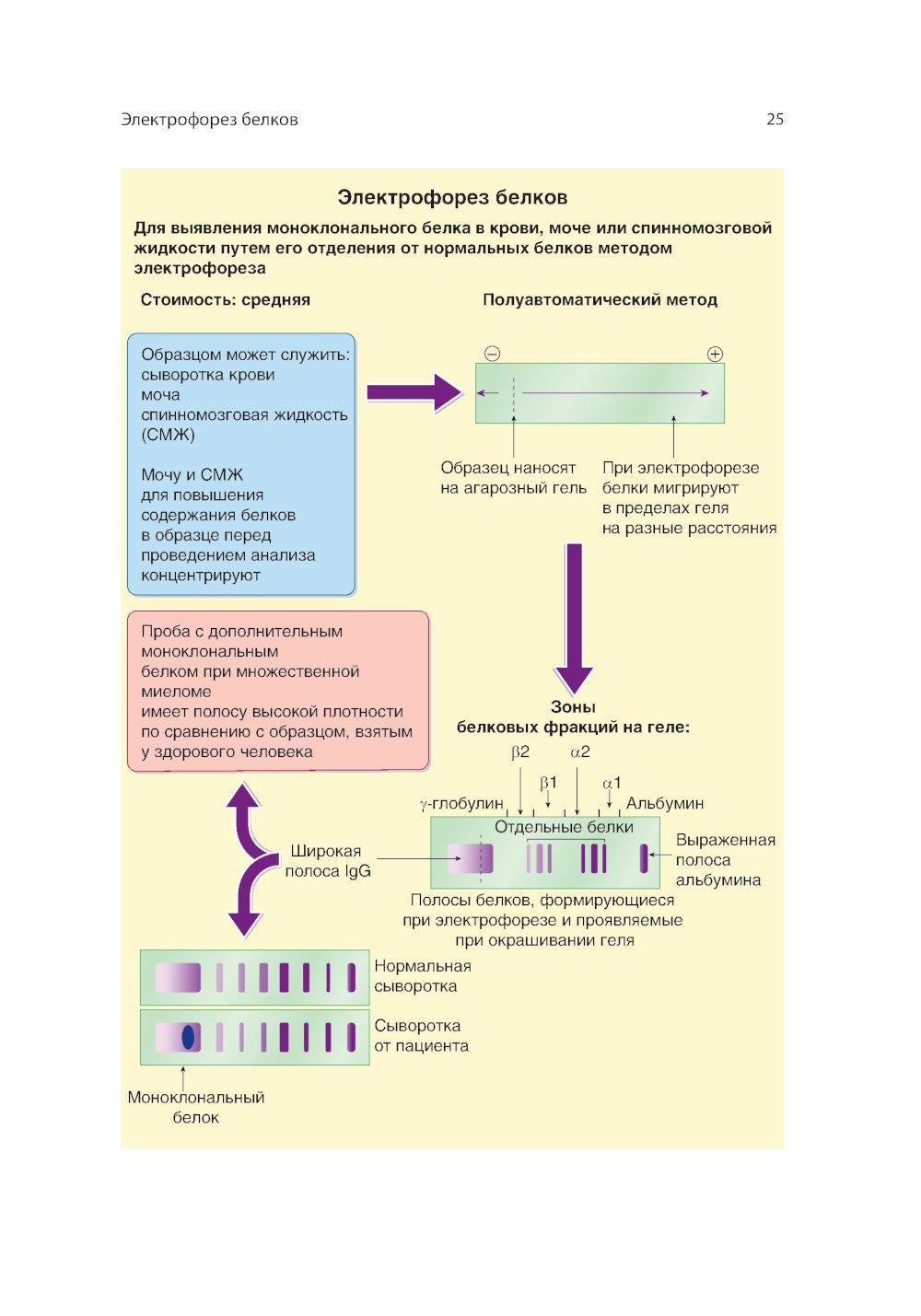 Клинические лабораторные методы: атлас наиболее часто выполняемых исследований