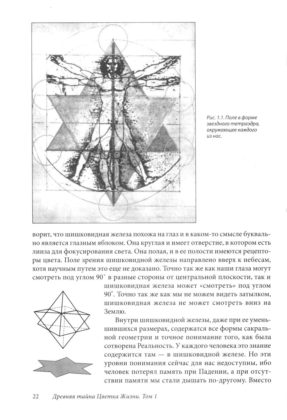Древняя Тайна Цветка Жизни