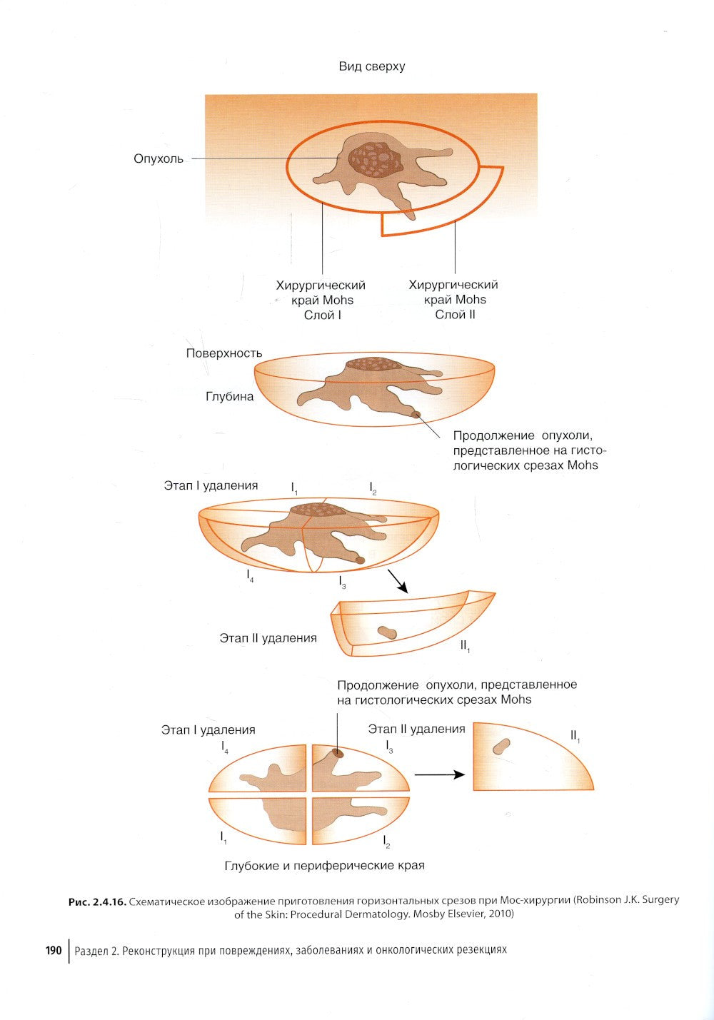 Пластическая хирургия лица: руководство для врачей