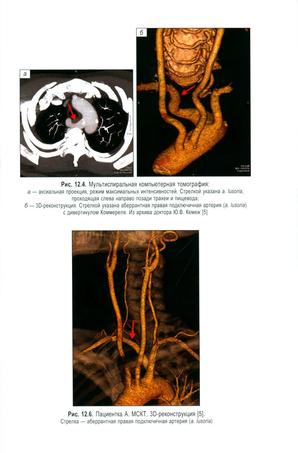Клинические подходы к дифференциальной диагностике: Учебное пособие