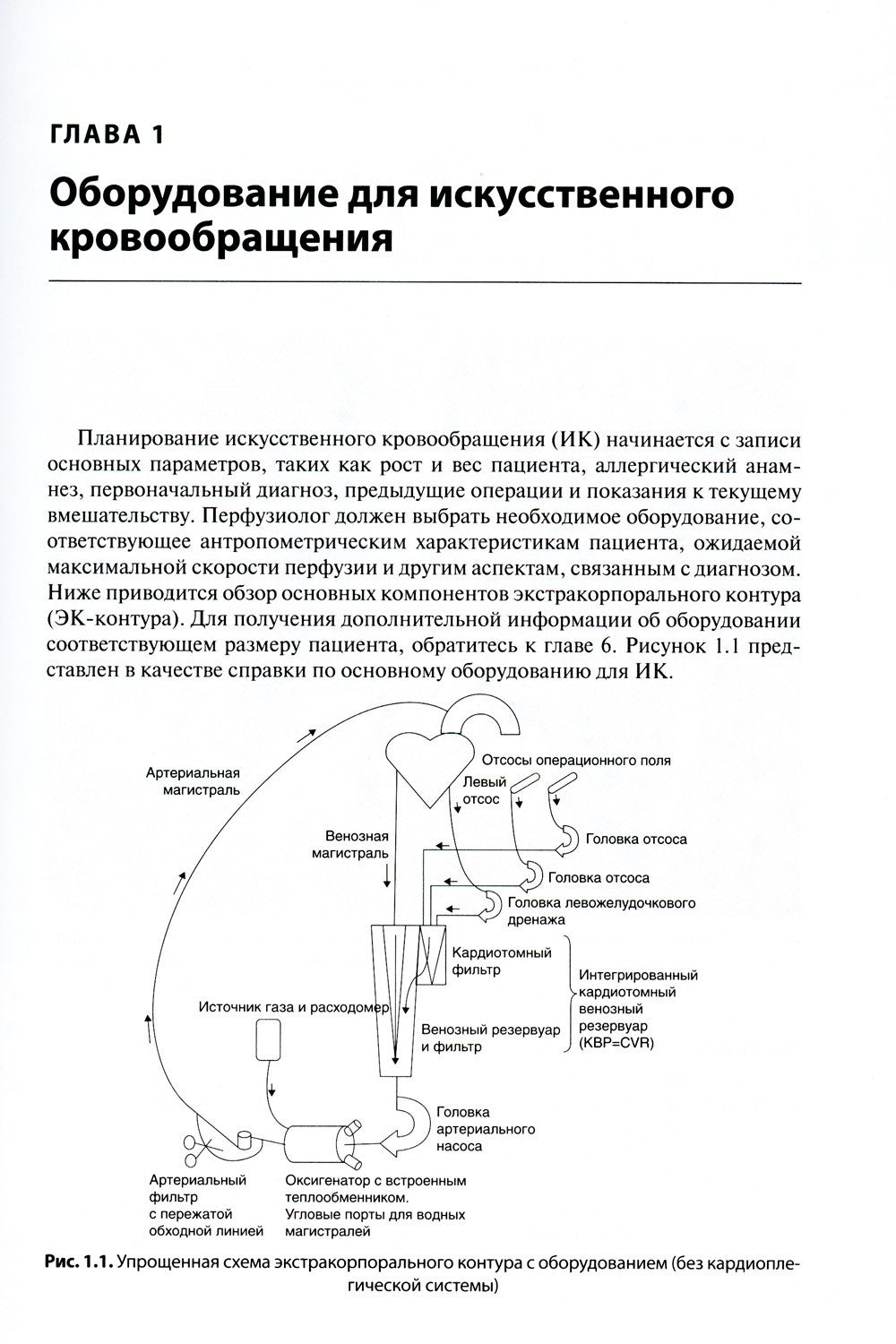 Перфузия в хирургии врожденных пороков сердца. Заметки по искусственному кров...