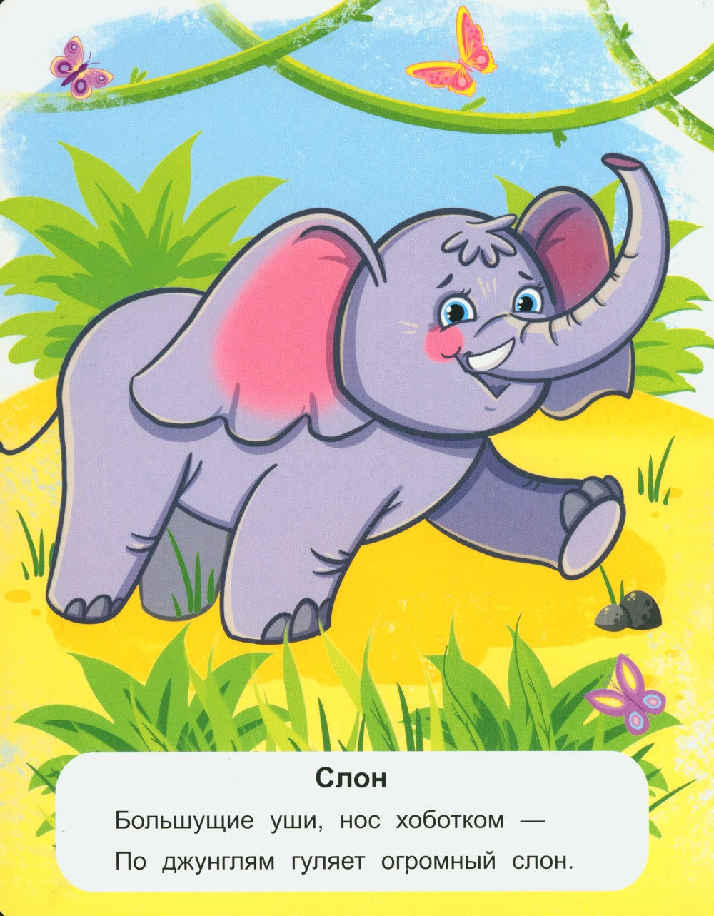 Животные жарких стран: стихи