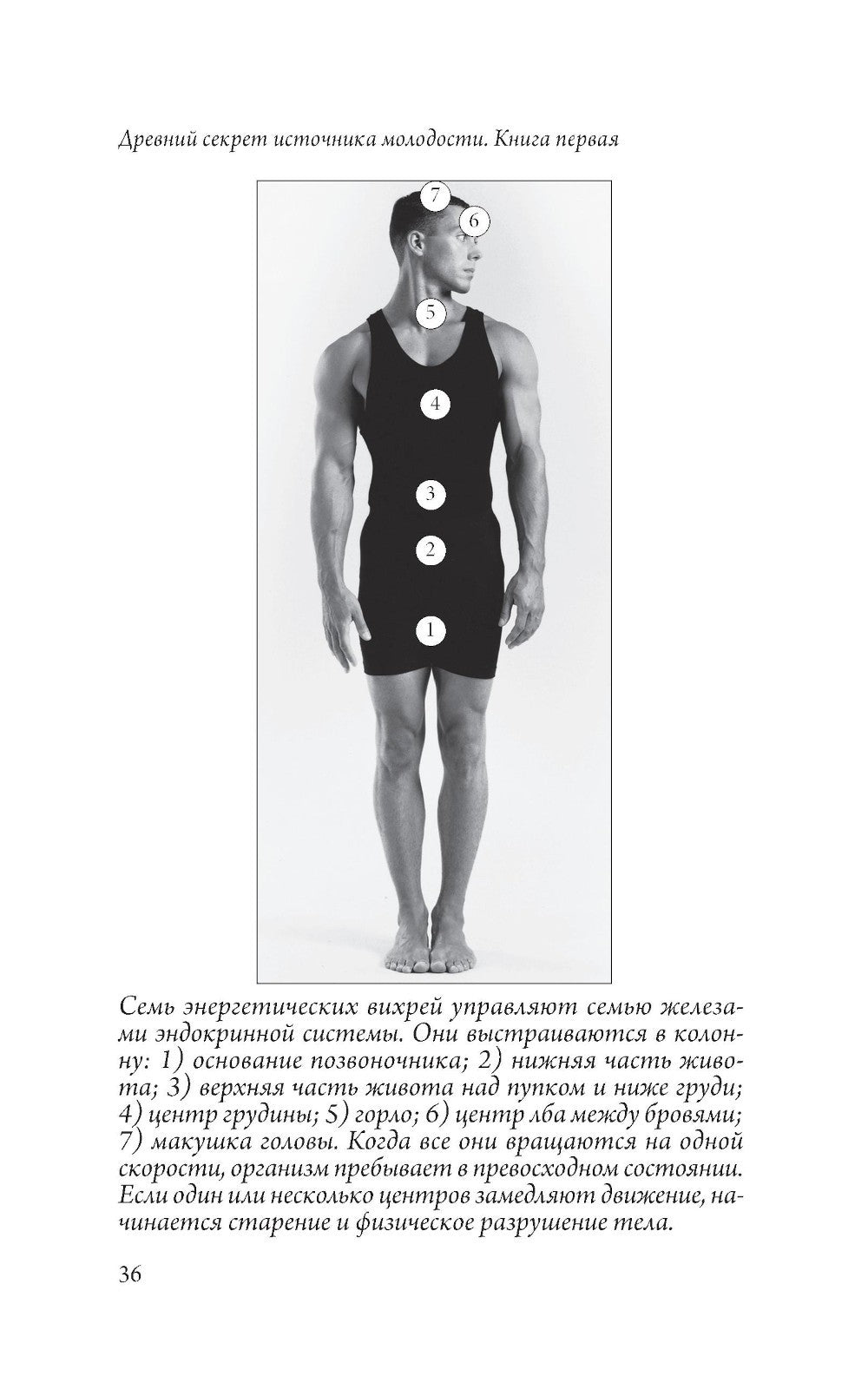 Древний секрет источника молодости. Кн. 1