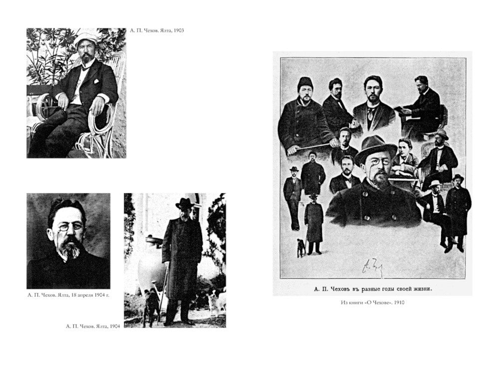 Жизнь Антона Чехова. 3-е изд., доп