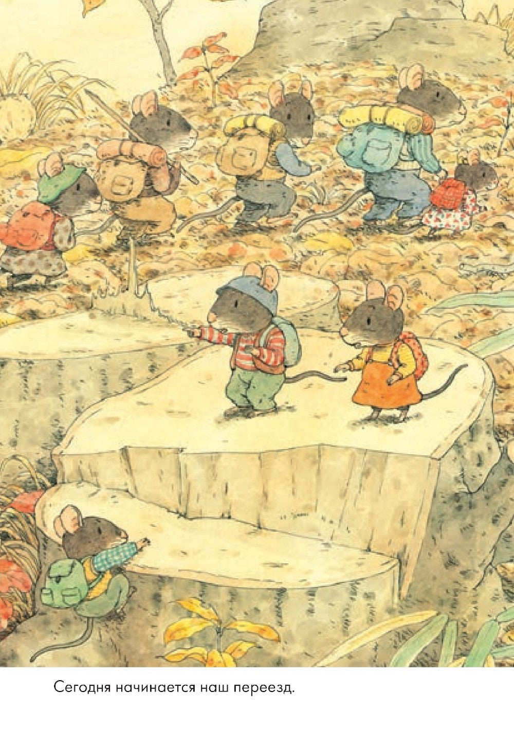 14 лесных мышей. Переезд