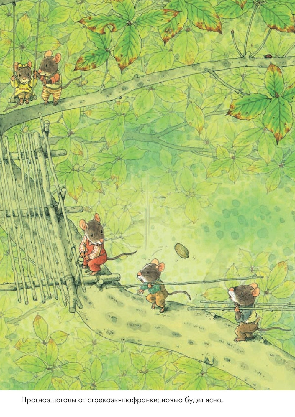 14 лесных мышей. Ужин с луной