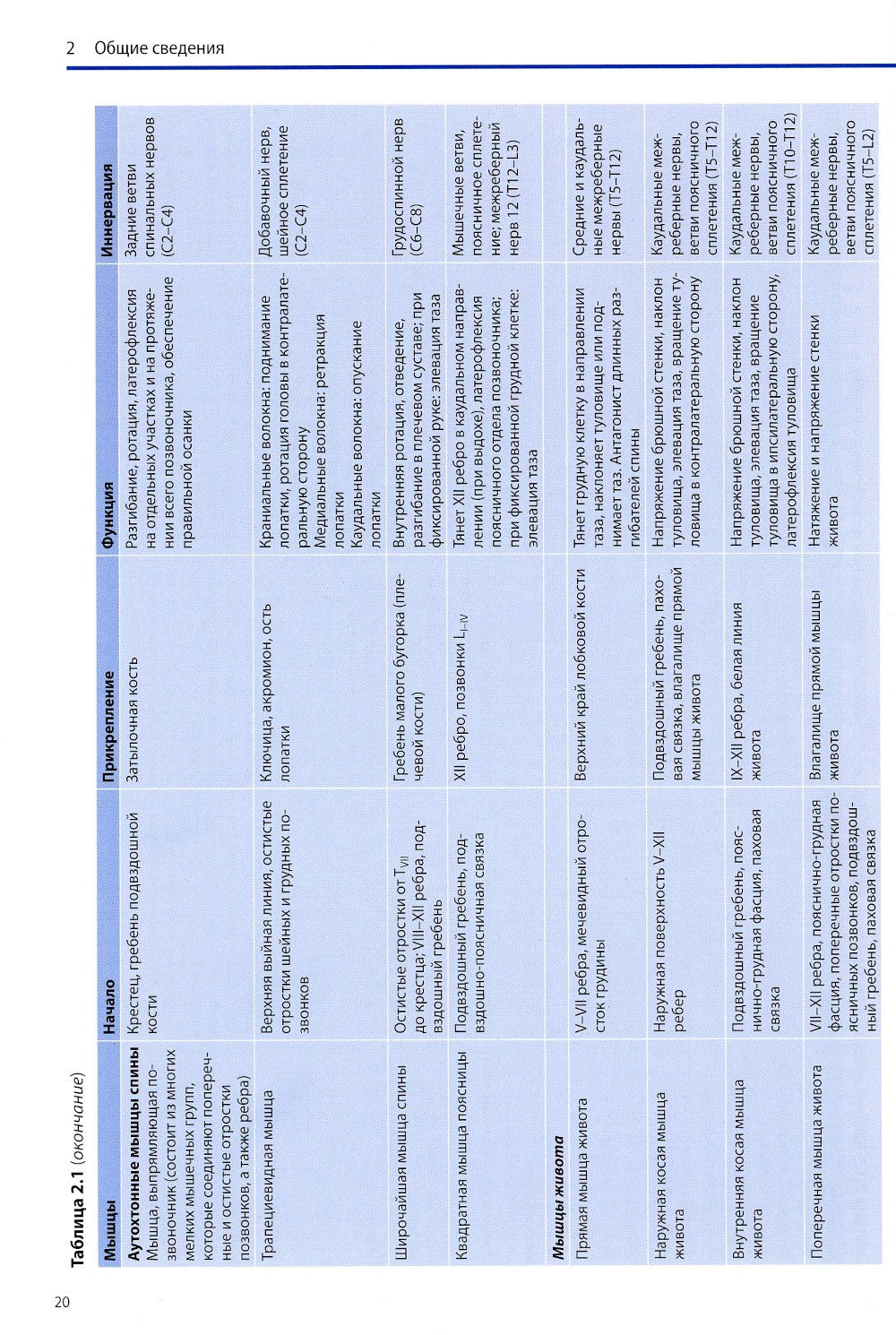 Диагностика и лечение поражений межпозвонковых дисков. Физическая терапия в н...