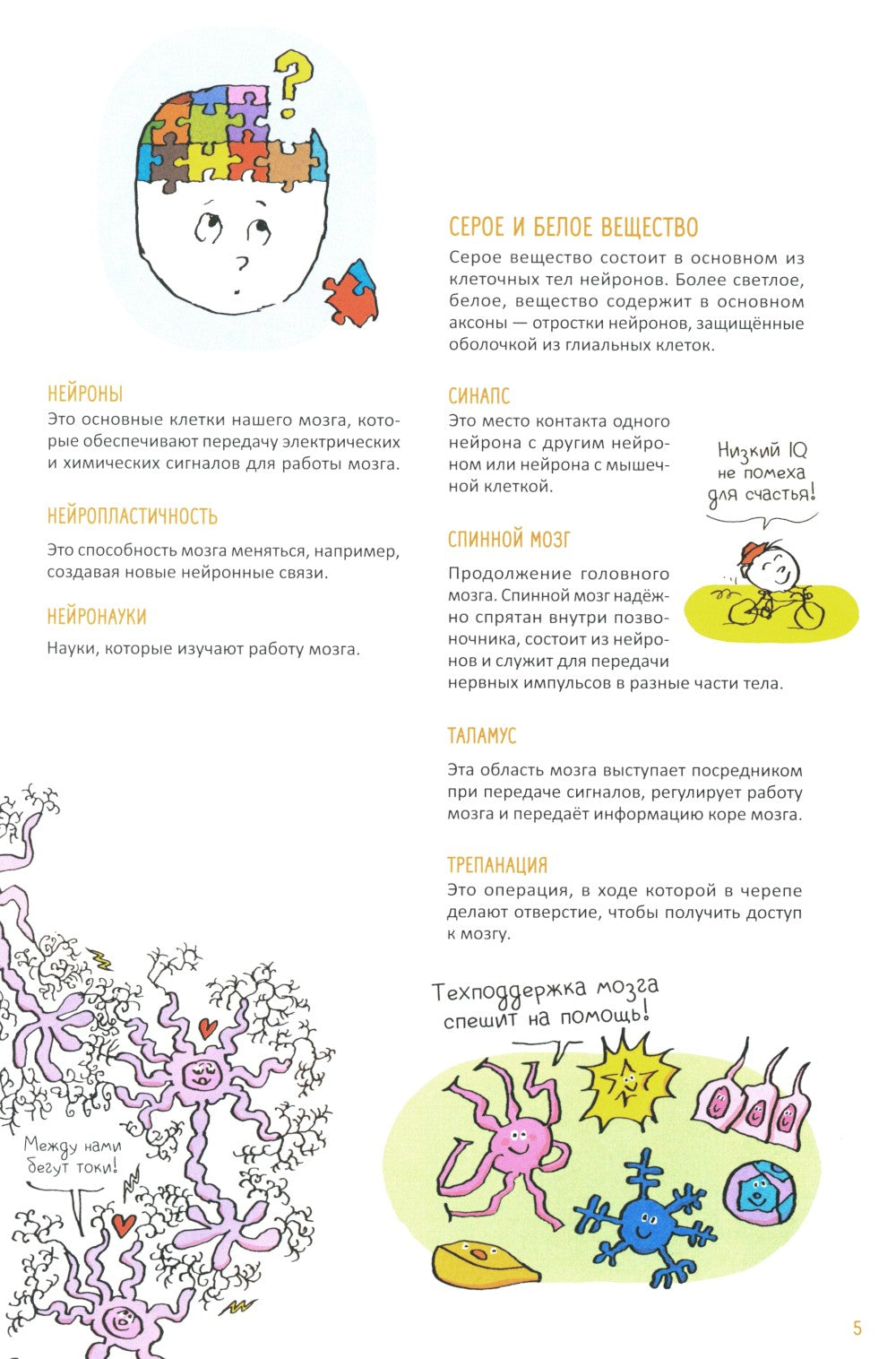 Супермозг. Детские вопросы про интеллект и память