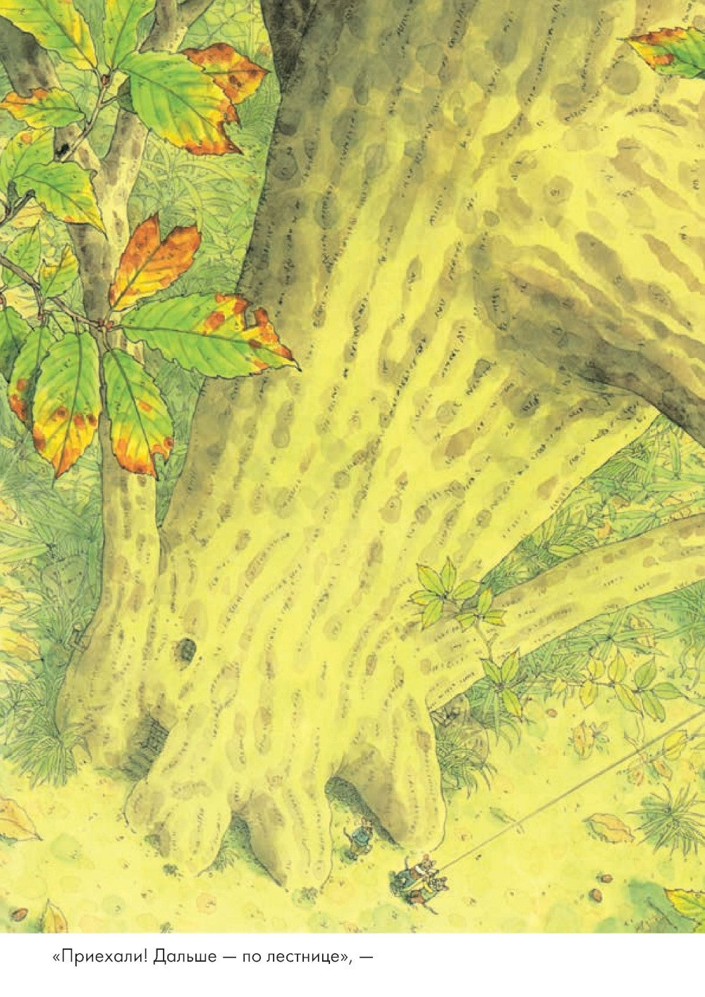 14 лесных мышей. Ужин с луной