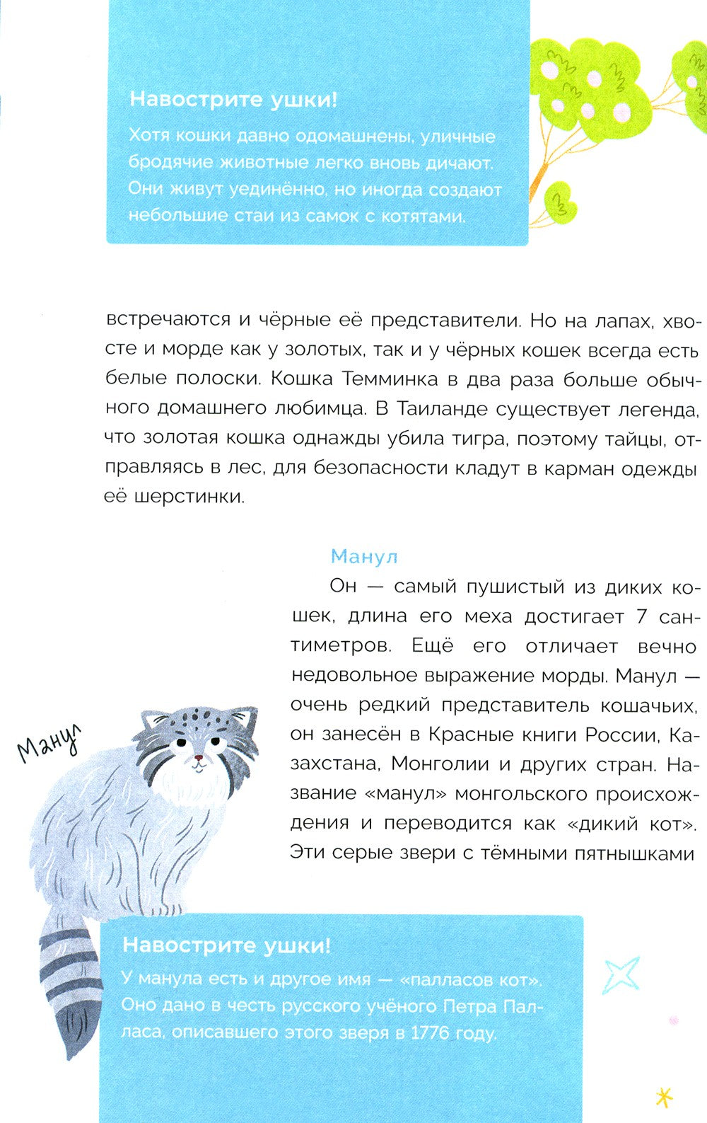 Хочу котенка! Полное пособие по уходу за питомцем