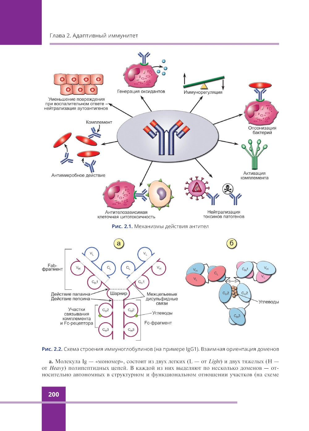 Иммунология. Атлас. 3-е изд., обновл