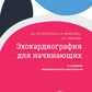 Эхокардиография для начинающих. 2-е изд., перераб. и доп