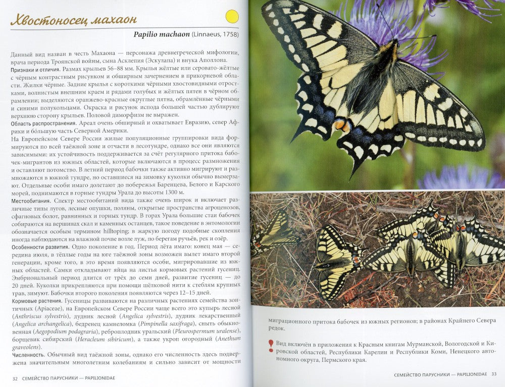 Дневные бабочки Европейского Севера России: Атлас-определитель