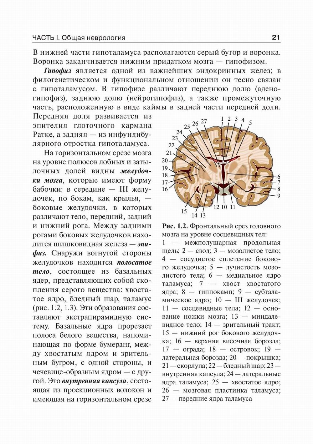 Детская неврология: Учебник. В 2 т. Т. 1